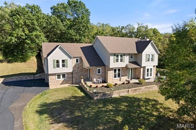 Lake Home For Sale in Pacific, Missouri