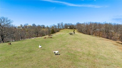 Perched atop one of the highest elevations in NWA, Coose Hollow - photo 14