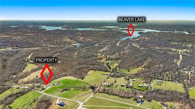 Perched atop one of the highest elevations in NWA, Coose Hollow - photo 20