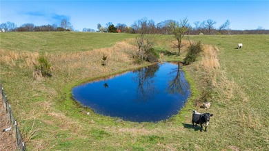 Perched atop one of the highest elevations in NWA, Coose Hollow - photo 21