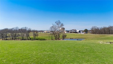 Perched atop one of the highest elevations in NWA, Coose Hollow - photo 25