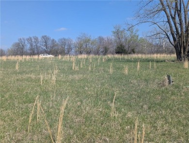 Lake Lot For Sale in Gallatin, Missouri