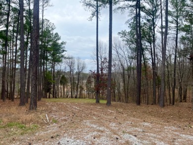 Beautiful Waterfront Lot in Marina Point Subdivision - photo 10