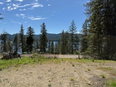 Lake Lot For Sale in Inchelium, Washington