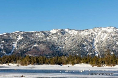This inviting .46 acre homesite is poised gracefully between the - photo 10
