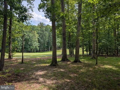 Tucked in the cul-de-sac & sitting on a wooded lot give this - photo 46