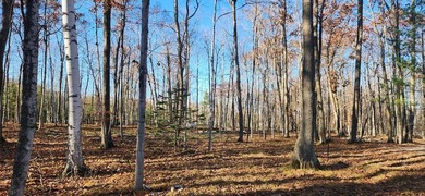 Lake Michigan - Door County Lot For Sale in Baileys Harbor Wisconsin