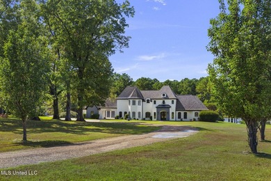 Incredible value! Seller is offering this home below its recent - photo 9
