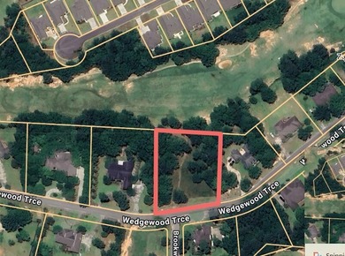 Build your Dream Home in Shadow Ridge!Located alongside the 11th - photo 1