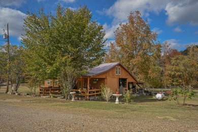 (private lake, pond, creek) Home For Sale in Oden Arkansas