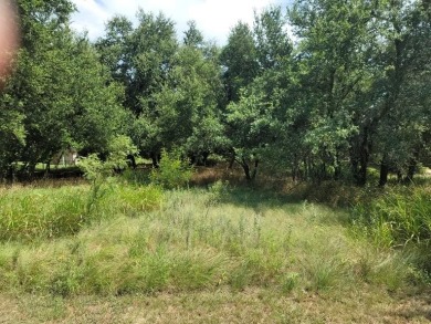 Great lot in White Bluff for your dream home. Nestled Close to - Lake Lot Sale Pending in Whitney, Texas