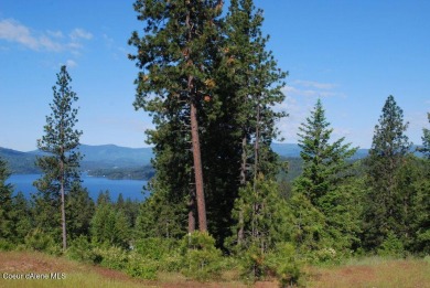 (private lake, pond, creek) Lot For Sale in Harrison Idaho