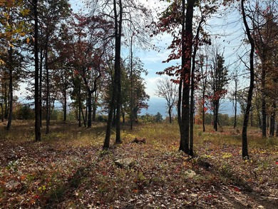 (private lake, pond, creek) Lot For Sale in Evensville Tennessee