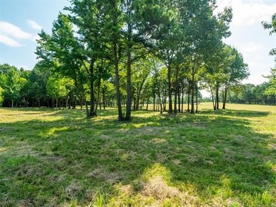 Homestead-Ready | Unrestricted | Exceptional Mountain Views - photo 12