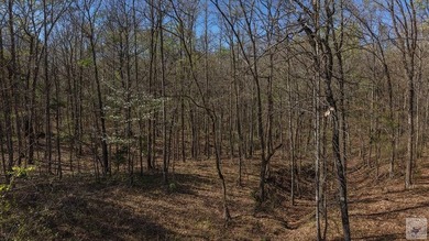 This 10 acre tract is located within the gated Paradise Shores - photo 12