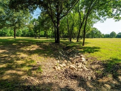 Homestead-Ready | Unrestricted | Exceptional Mountain Views - photo 13