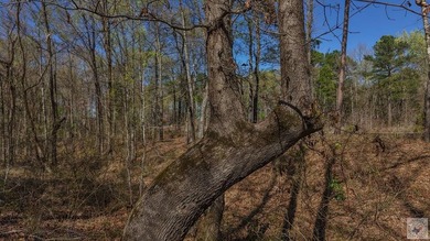This 10 acre tract is located within the gated Paradise Shores - photo 13