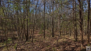 This 10 acre tract is located within the gated Paradise Shores - photo 14