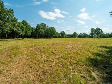 Homestead-Ready | Unrestricted | Exceptional Mountain Views - photo 15