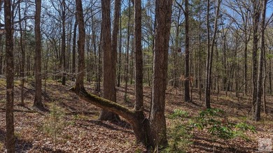 This 10 acre tract is located within the gated Paradise Shores - photo 15