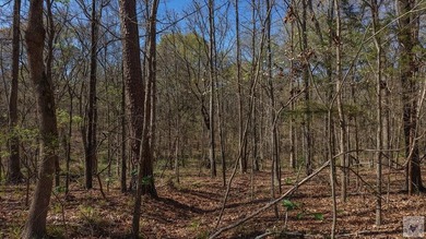 This 10 acre tract is located within the gated Paradise Shores - photo 16
