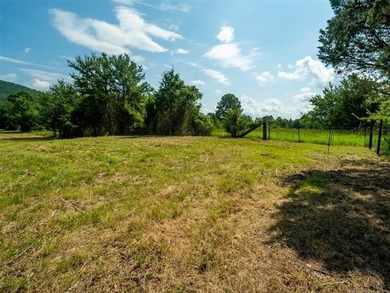 Homestead-Ready | Unrestricted | Exceptional Mountain Views - photo 17