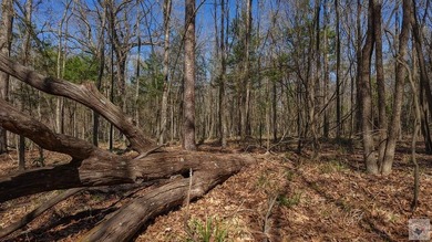 This 10 acre tract is located within the gated Paradise Shores - photo 19