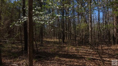 This 10 acre tract is located within the gated Paradise Shores - photo 21