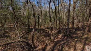 This 10 acre tract is located within the gated Paradise Shores - photo 22