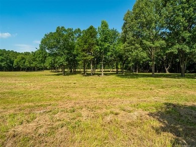 Homestead-Ready | Unrestricted | Exceptional Mountain Views - photo 23