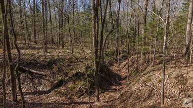 This 10 acre tract is located within the gated Paradise Shores - photo 23