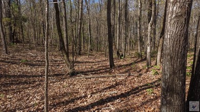 This 10 acre tract is located within the gated Paradise Shores - photo 24