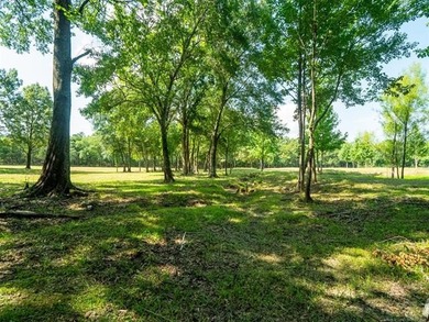 Homestead-Ready | Unrestricted | Exceptional Mountain Views - photo 25