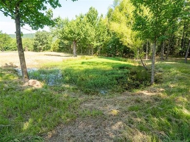 Homestead-Ready | Unrestricted | Exceptional Mountain Views - photo 27