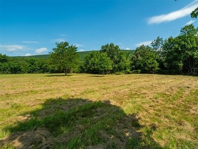 Homestead-Ready | Unrestricted | Exceptional Mountain Views - photo 29