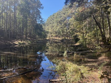 (private lake, pond, coastal) Lot For Sale in Collins Mississippi