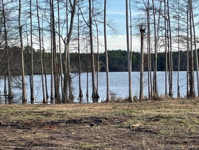 NEW PRICING: Lot 18 is a 0.564 acre +/- waterfront lot. No - photo 5