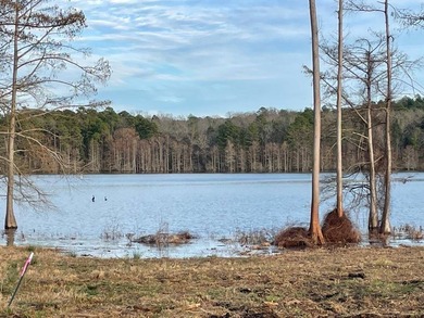 NEW PRICING: Lot 18 is a 0.564 acre +/- waterfront lot. No - photo 6