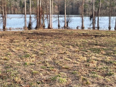 NEW PRICING: Lot 18 is a 0.564 acre +/- waterfront lot. No - photo 7