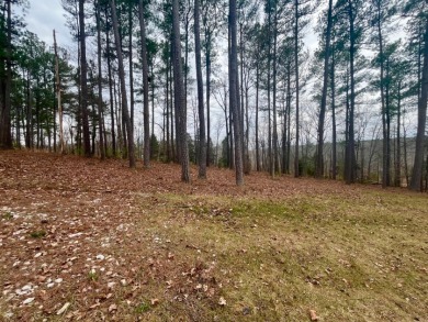 Beautiful Waterfront Lot in Marina Point Subdivision - photo 15