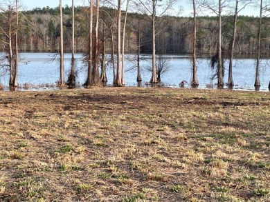 NEW PRICING: Lot 18 is a 0.564 acre +/- waterfront lot. No - photo 9