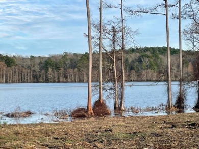 NEW PRICING: Lot 18 is a 0.564 acre +/- waterfront lot. No - photo 10