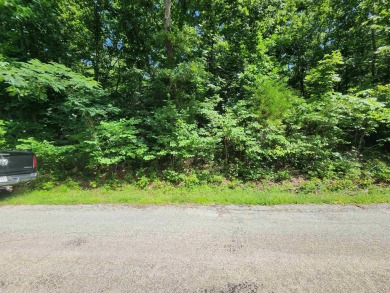 Lake Thunderbird, LAKE-VIEW LOT..e see the view from the point - photo 11
