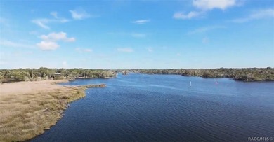 Homosassa Island Living on the Homosassa River - Your Escape to - photo 18