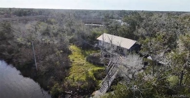 Homosassa Island Living on the Homosassa River - Your Escape to - photo 19