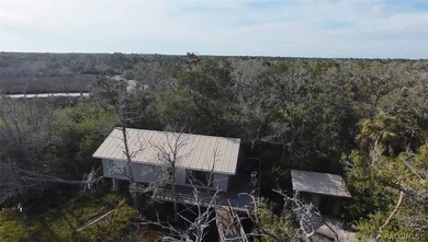 Homosassa Island Living on the Homosassa River - Your Escape to - photo 21