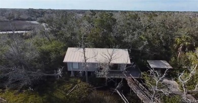 Homosassa Island Living on the Homosassa River - Your Escape to - photo 22