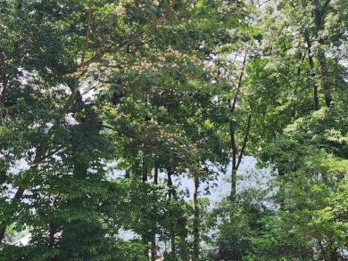 Lake Thunderbird, LAKE-VIEW LOT..e see the view from the point - photo 24