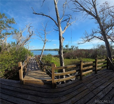 Homosassa Island Living on the Homosassa River - Your Escape to - photo 29