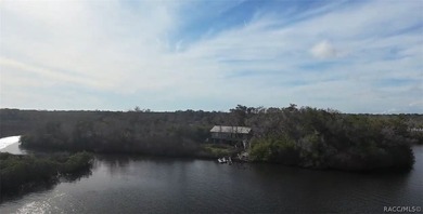 Homosassa Island Living on the Homosassa River - Your Escape to - photo 30